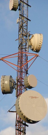 Cluster of microwave dishes on a guyed tower.